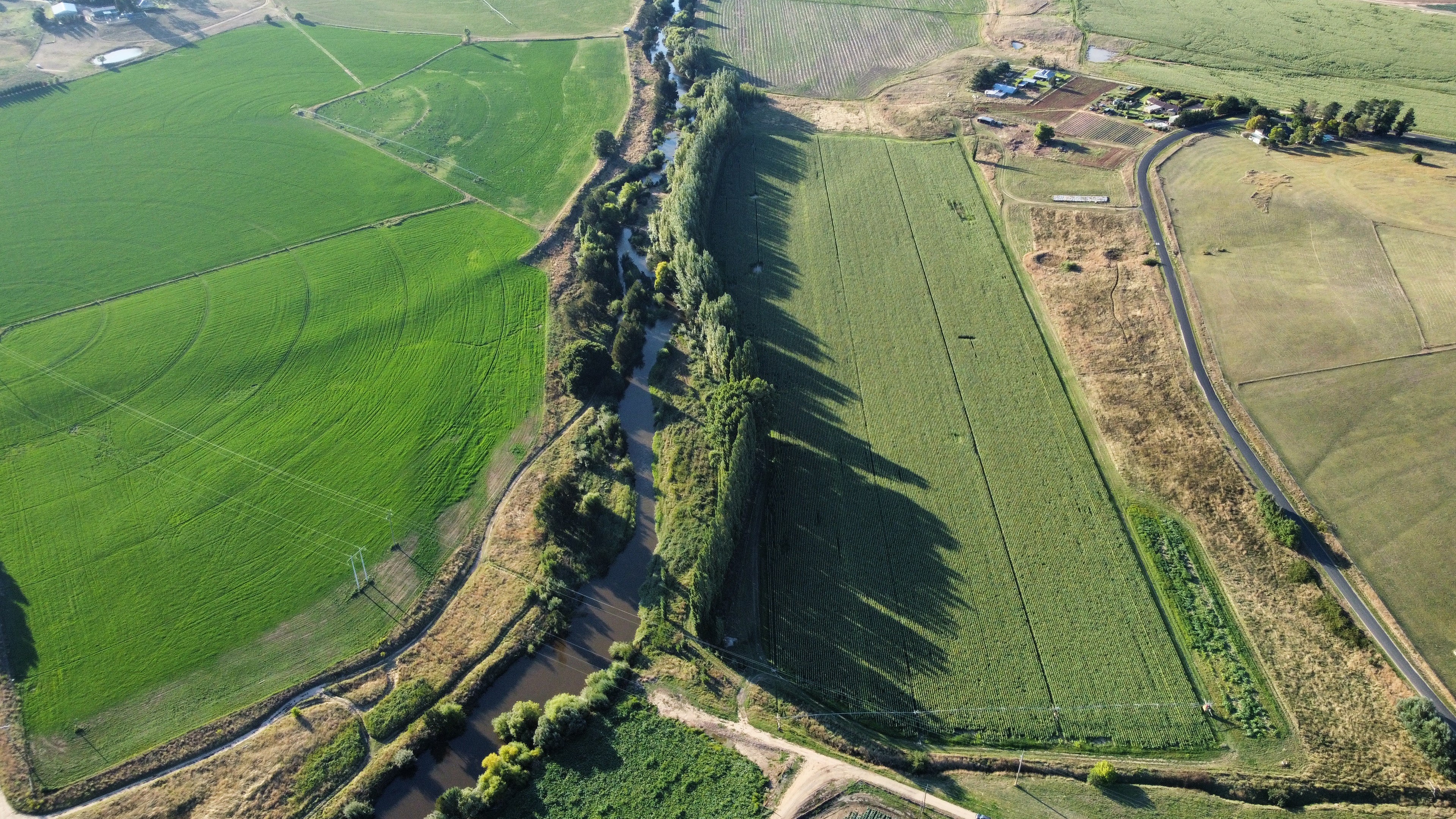 Aerial view of a rural landscape with green fields and a road.