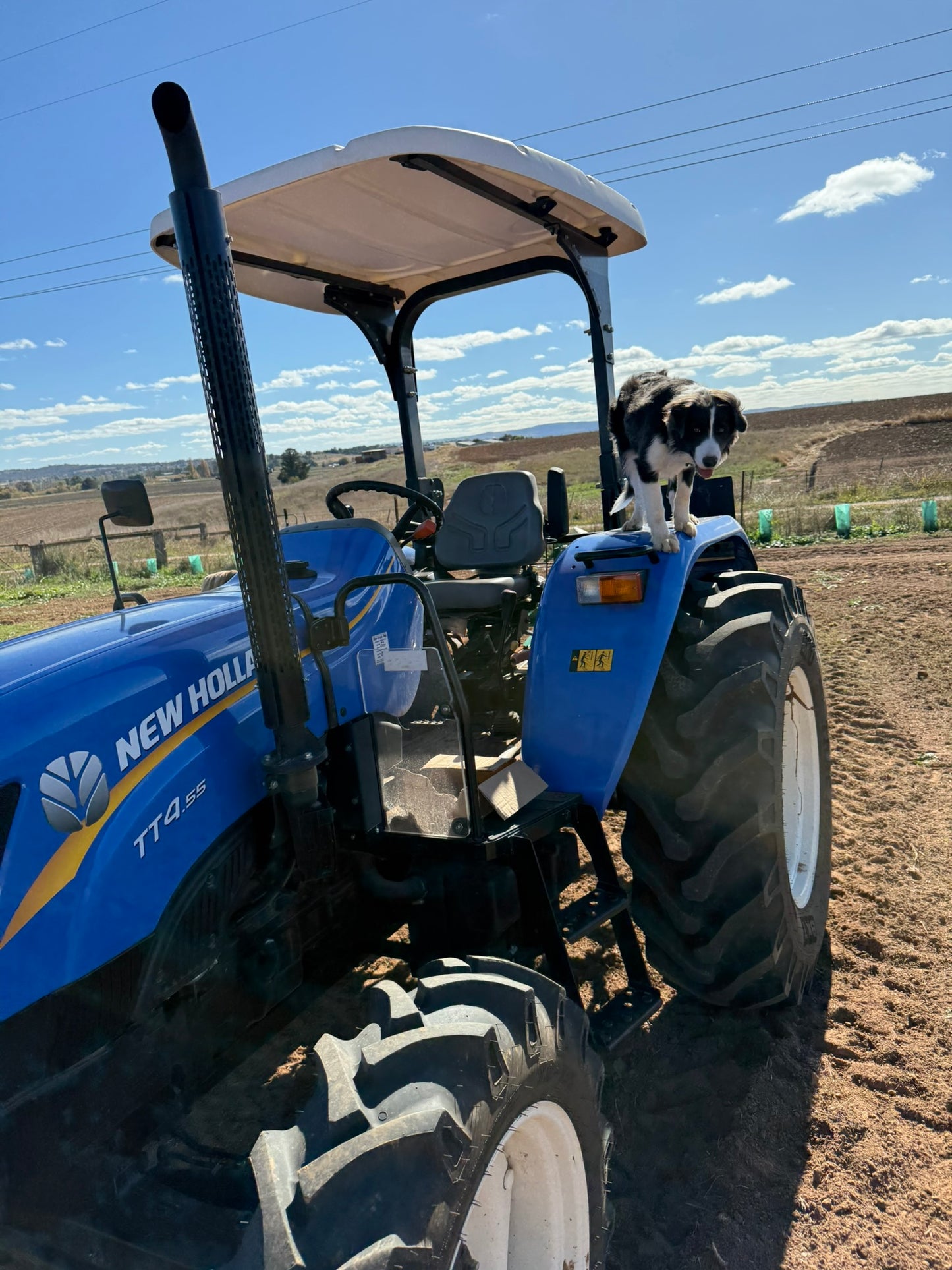 Blue New Holland tractor with a dog standing on it in an open field.