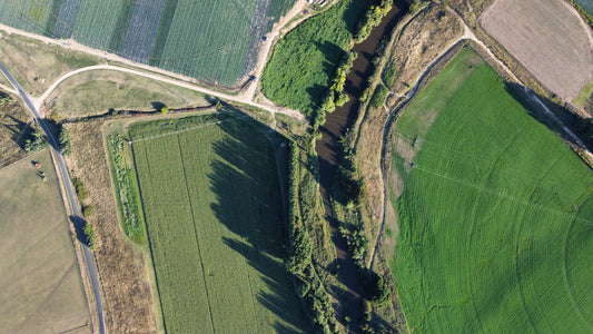 Private Engagements & Proposals at White Rock Lavender Estate