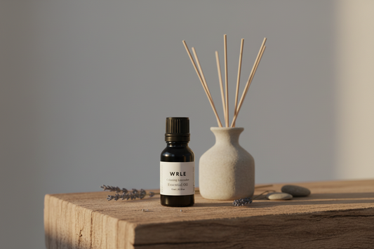 Calming Lavender Essential Oil - Grosso Lavender